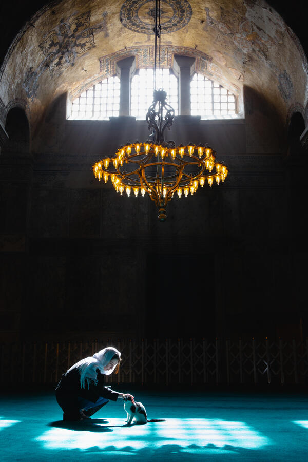 Untitled Untitled